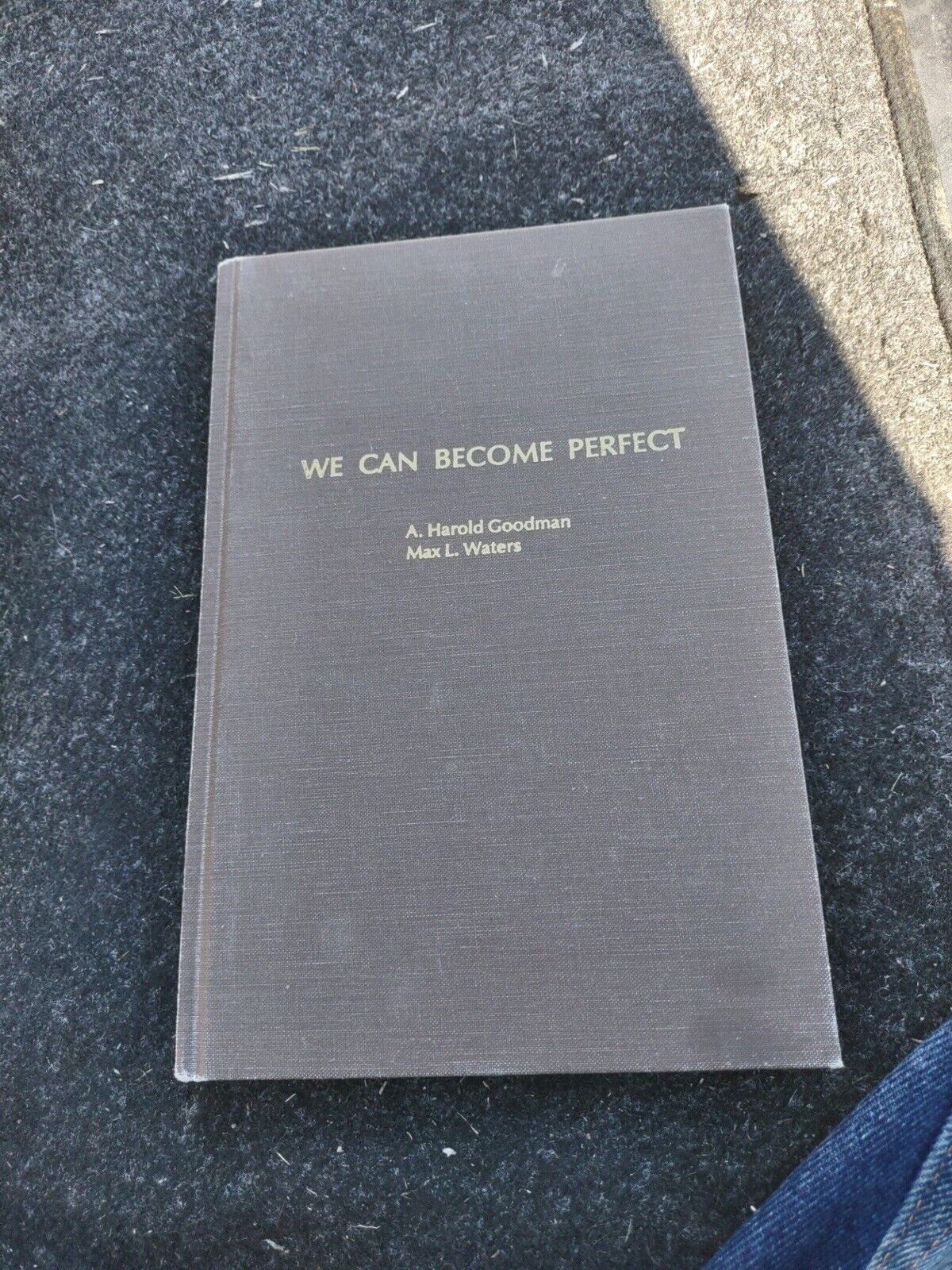 We Can Become Perfect : The Lord Has Prepared the Way by Max L. Waters and A....