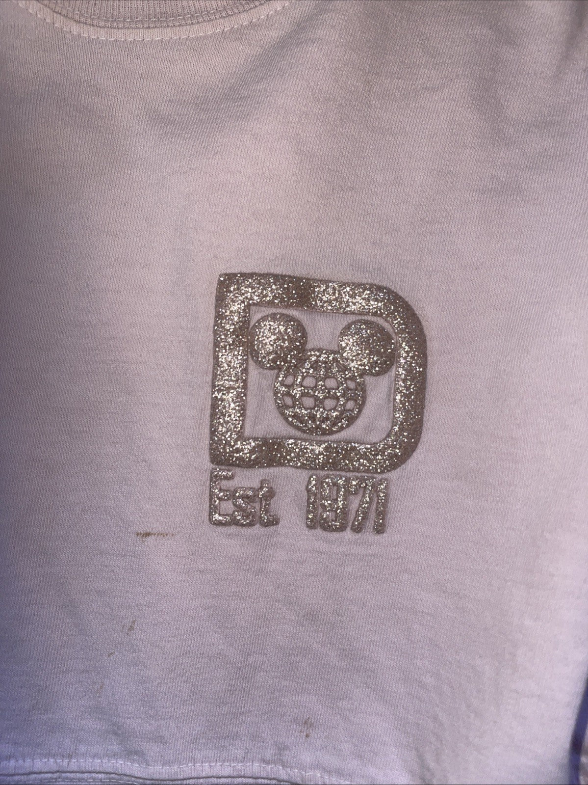 Disney Parks Spirit Jersey Small 