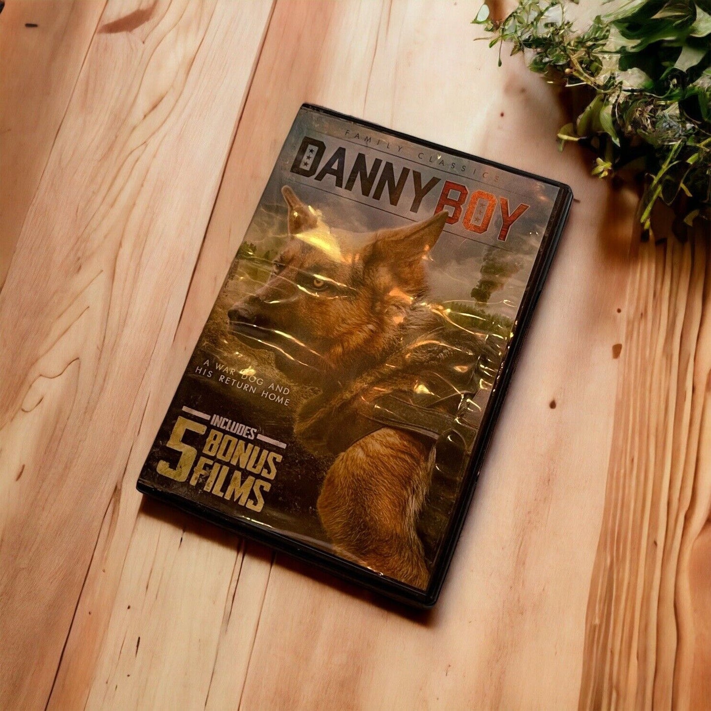 DANNY BOY DVD War Ace Wonder Dog Return Home 5 BONUS  Films
