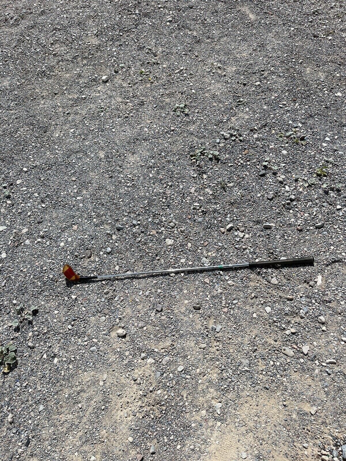 Vintage Wood Lynx 4 Wood