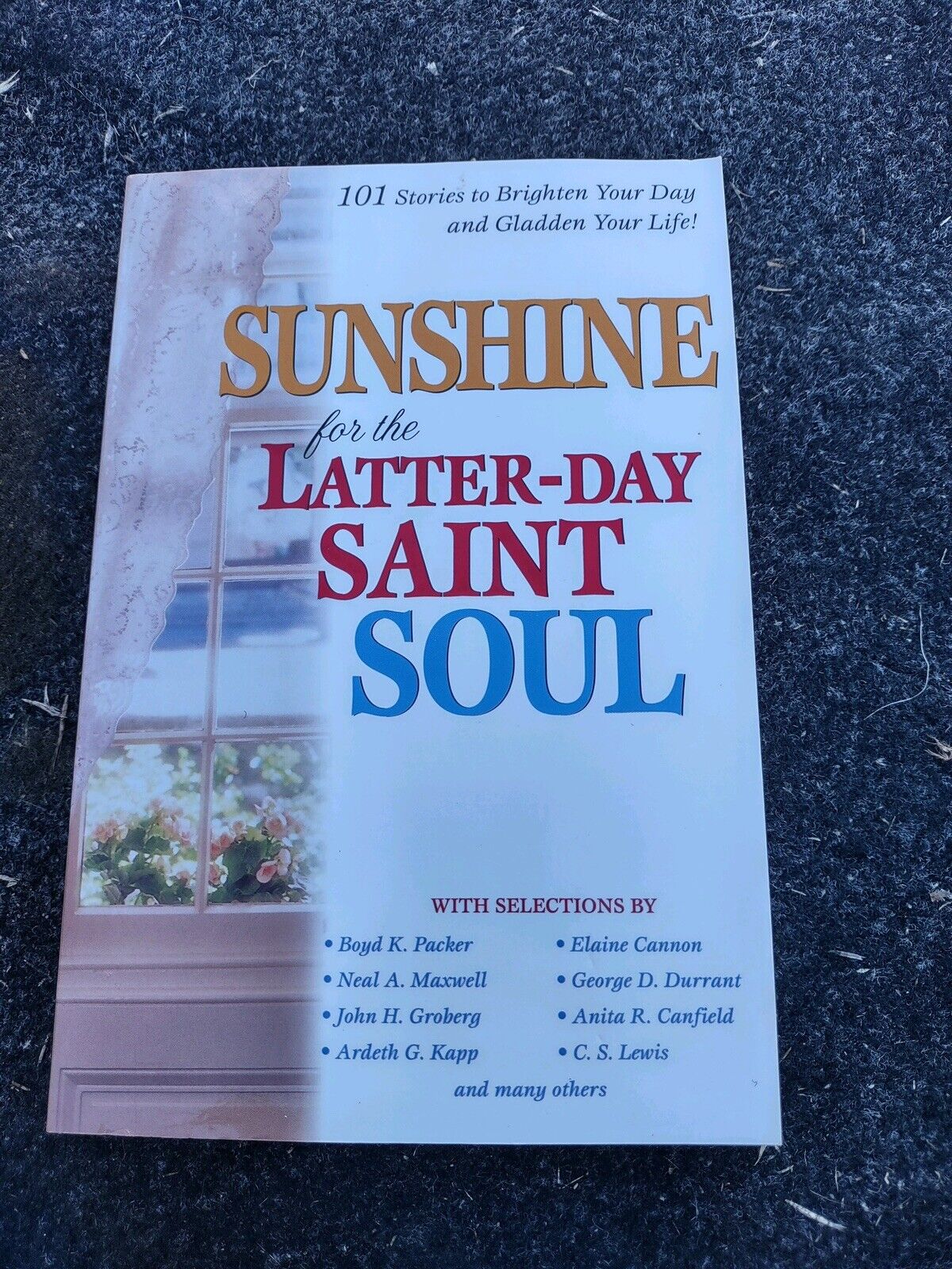 Sunshine for the Latter-Day Saint Soul (1998, Trade Paperback)
