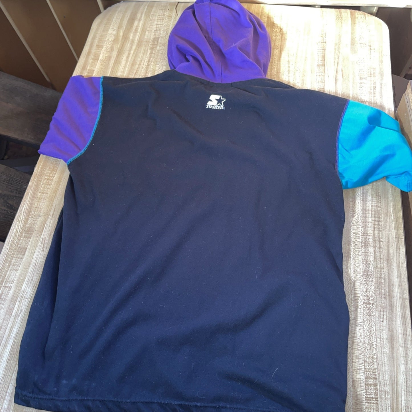 Vintage Starter Charlotte Hornets Hoodie Large 