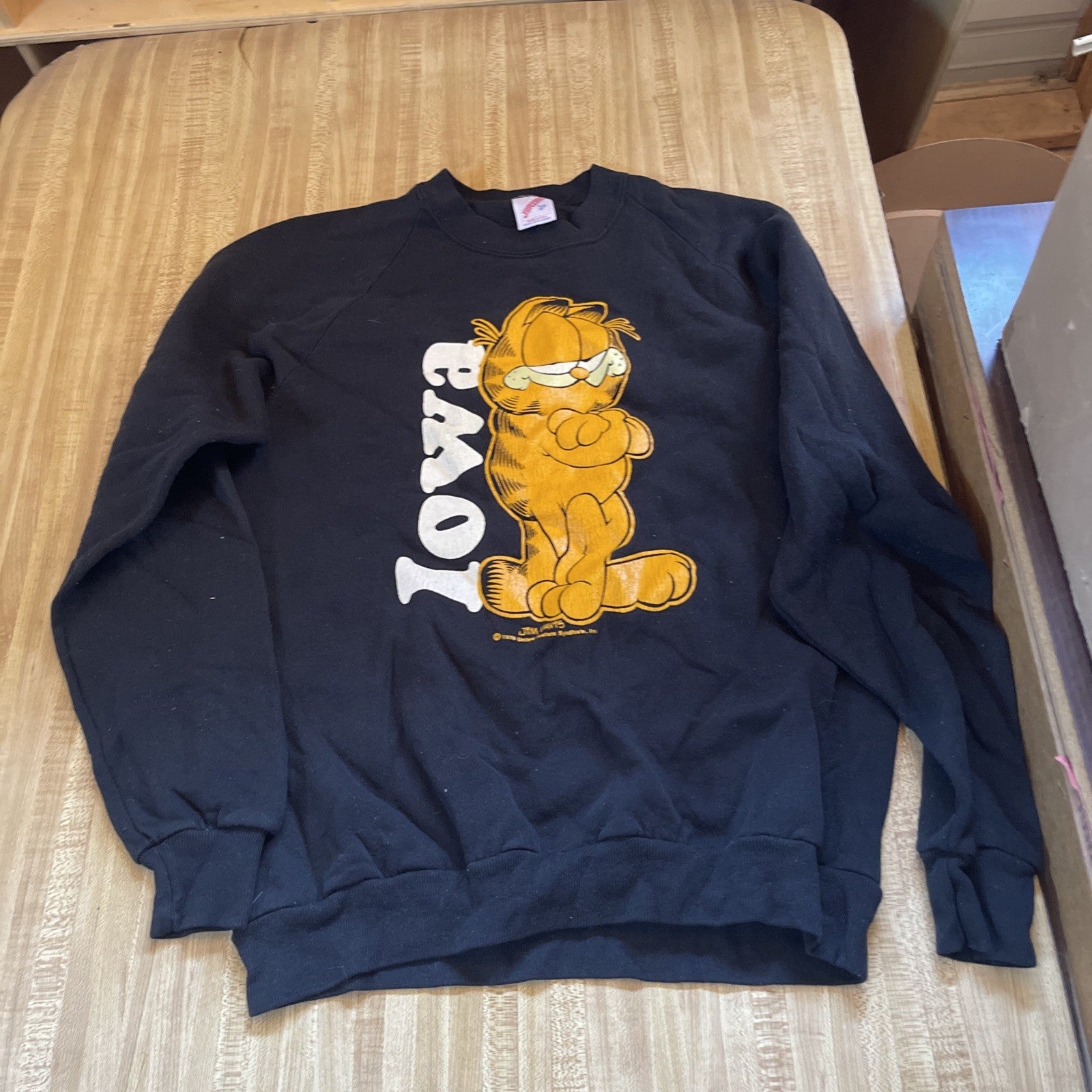 Vintage Jerzees Sweatshirt Garfield Iowa 1978 Large 
