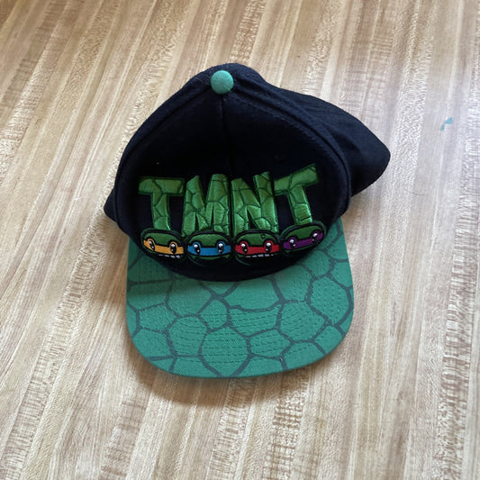 TMNT SnapBack 
