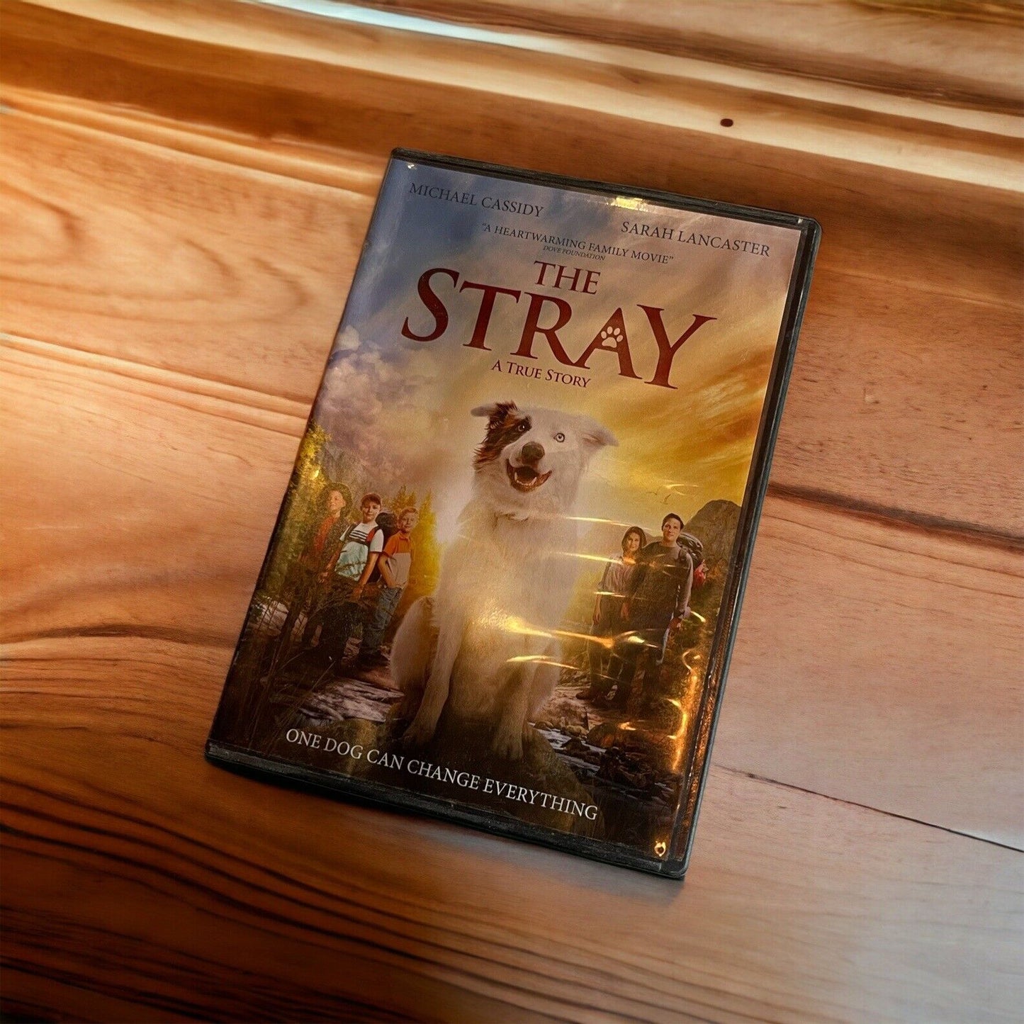 The Stray [DVD]