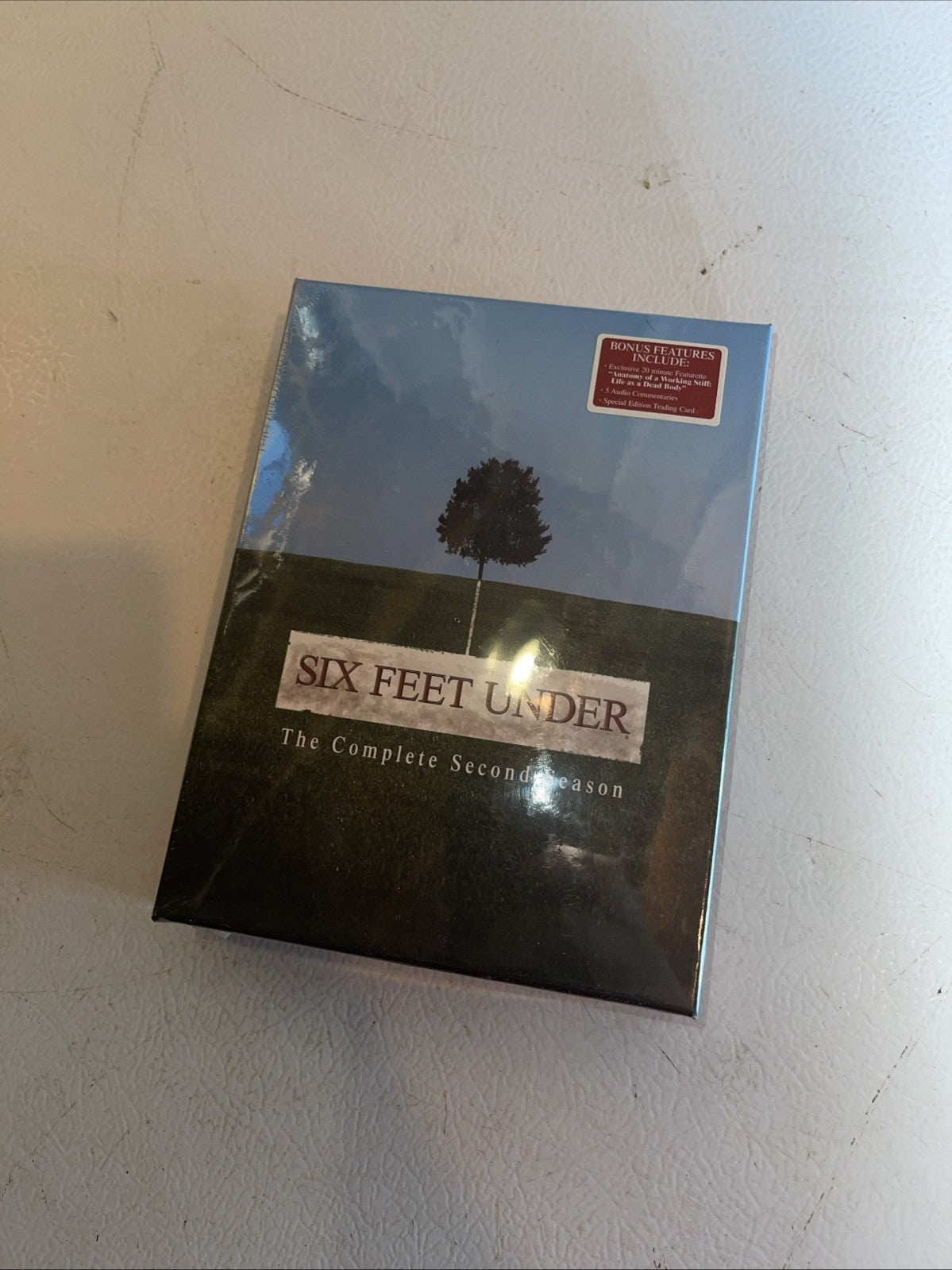 Six Feet Under: Complete Second Season (DVD)