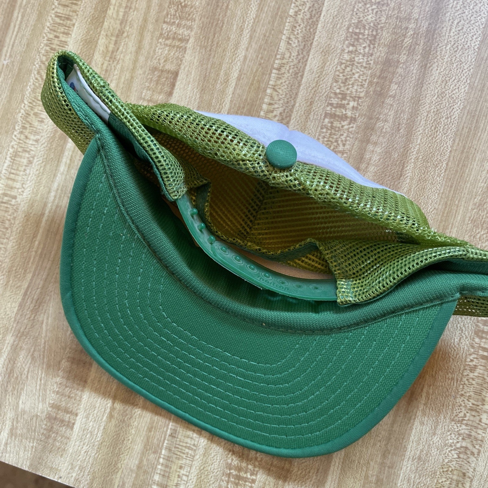 Vintage St George Lions Dixie Downs SnapBack From 1990