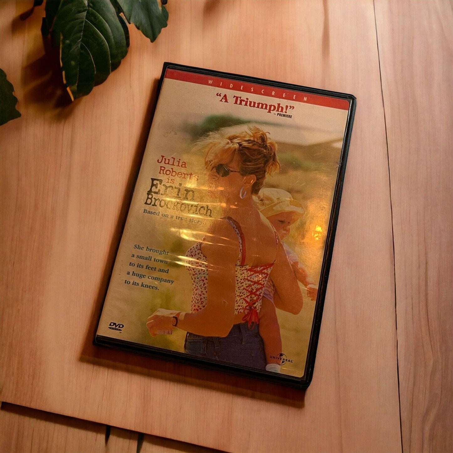 Erin Brockovich (DVD) -