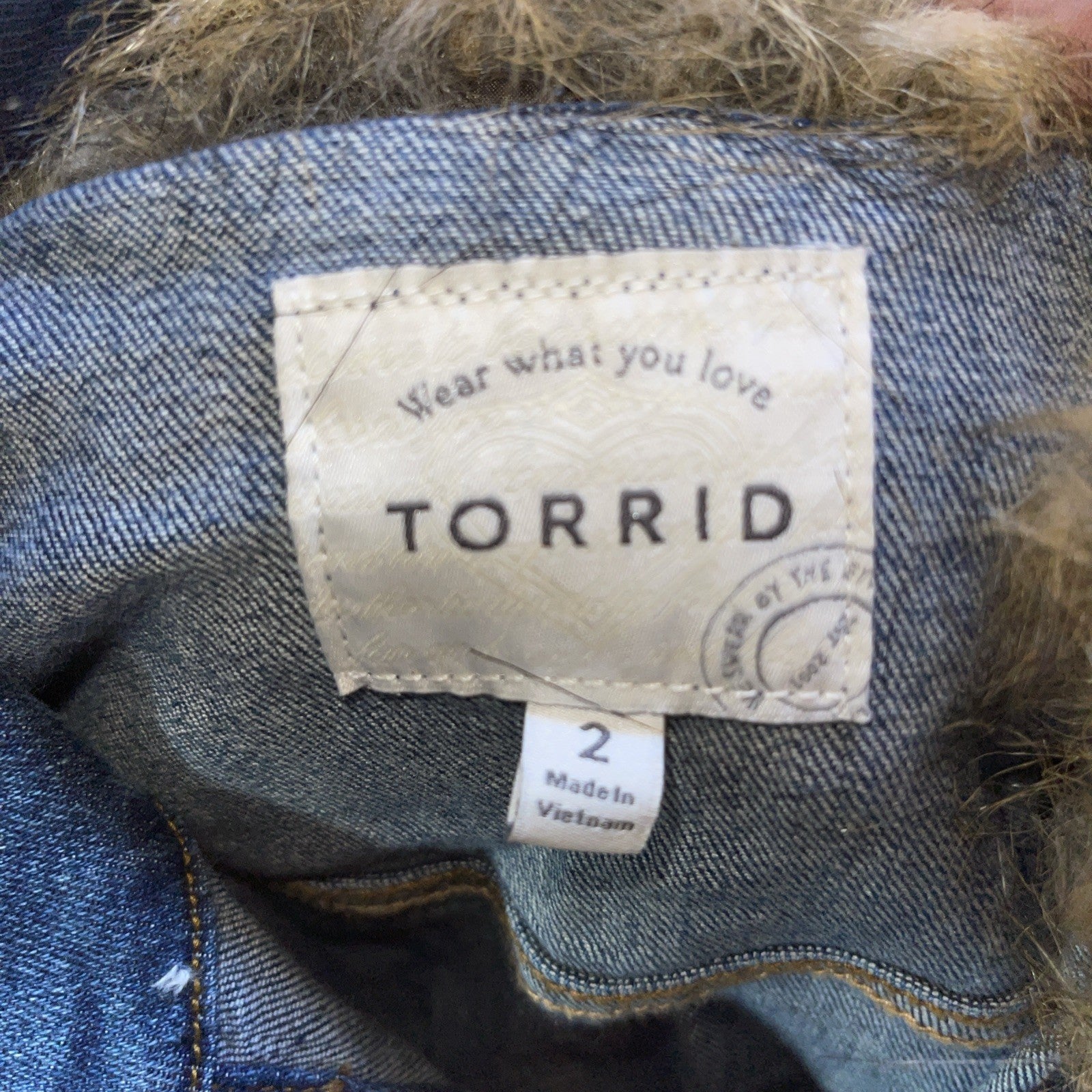 Torrid Denim Jacket 2