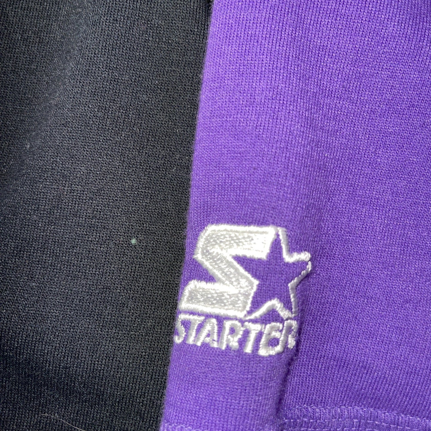 Vintage Starter Charlotte Hornets Hoodie Large 