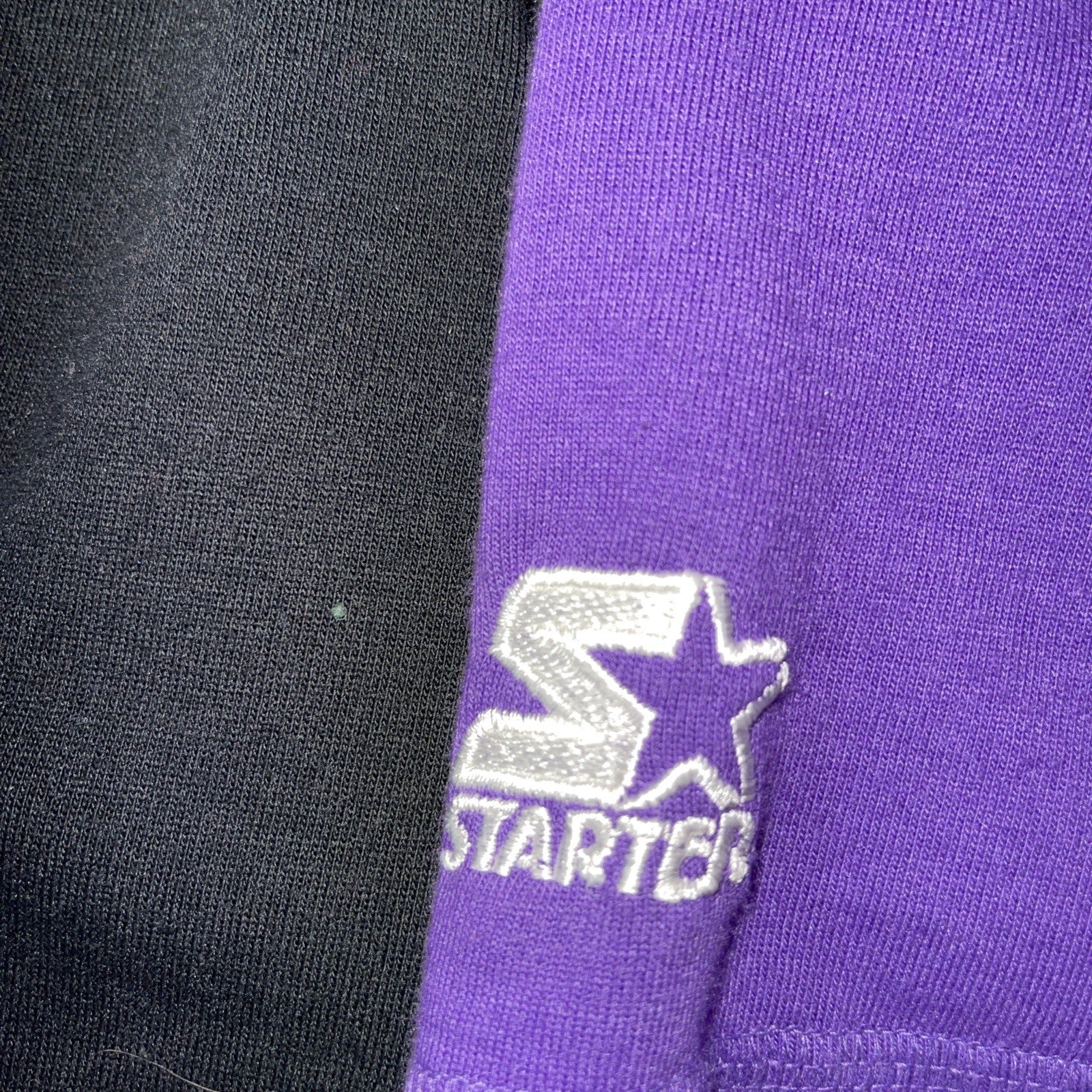 Vintage Starter Charlotte Hornets Hoodie Large 