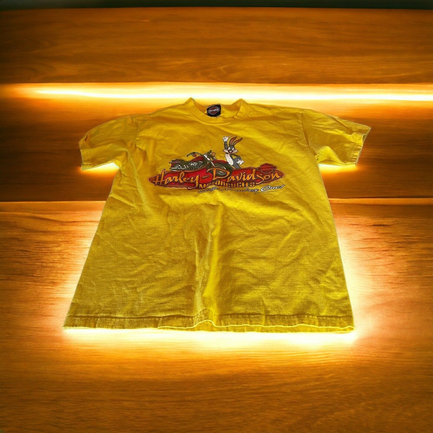 Detroit Harley Davidson T Shirt Medium Looney Tunes 