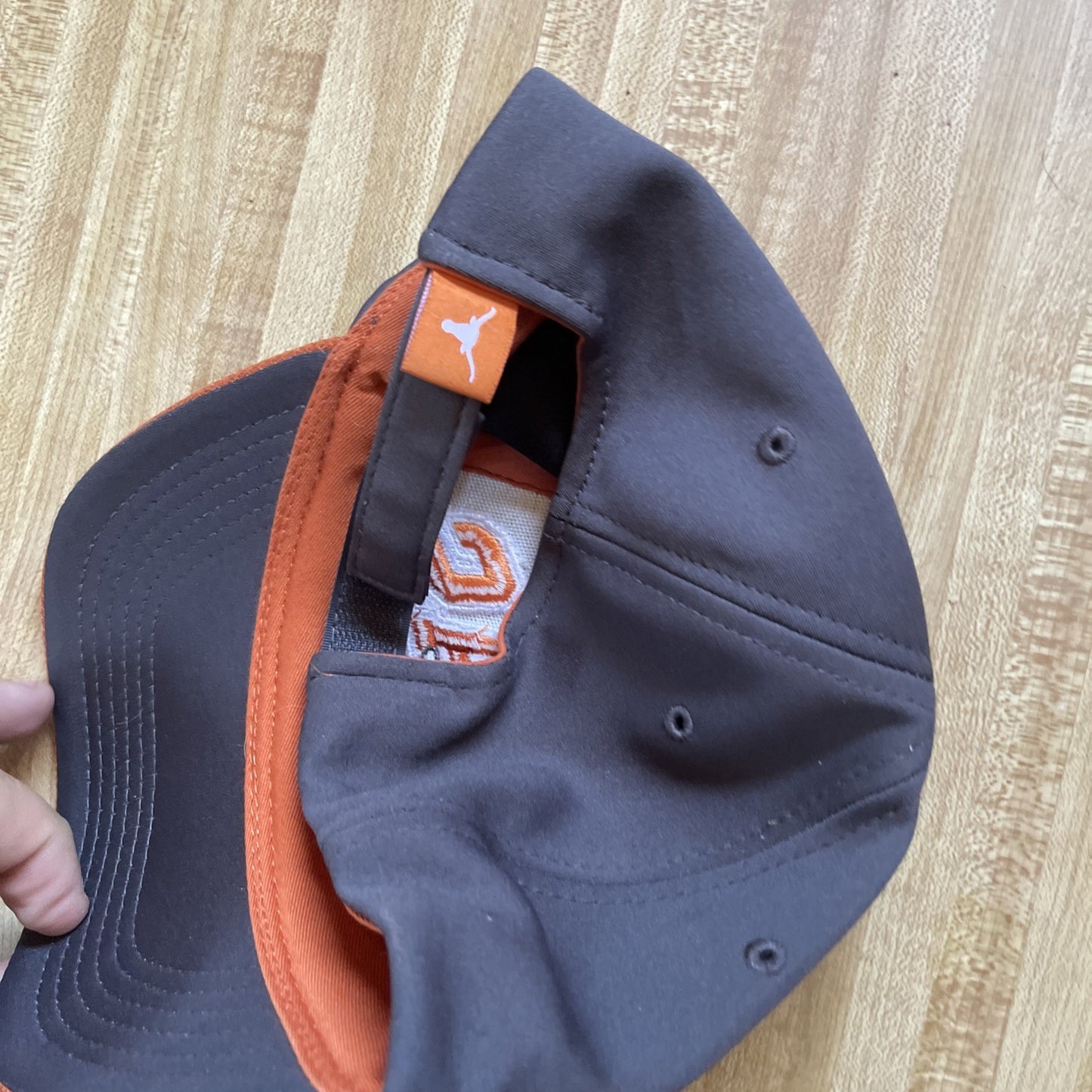Texas Longhorns Strapback 