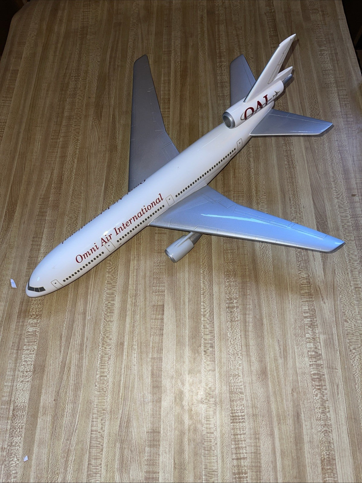 Omni Air International Plane 22x20