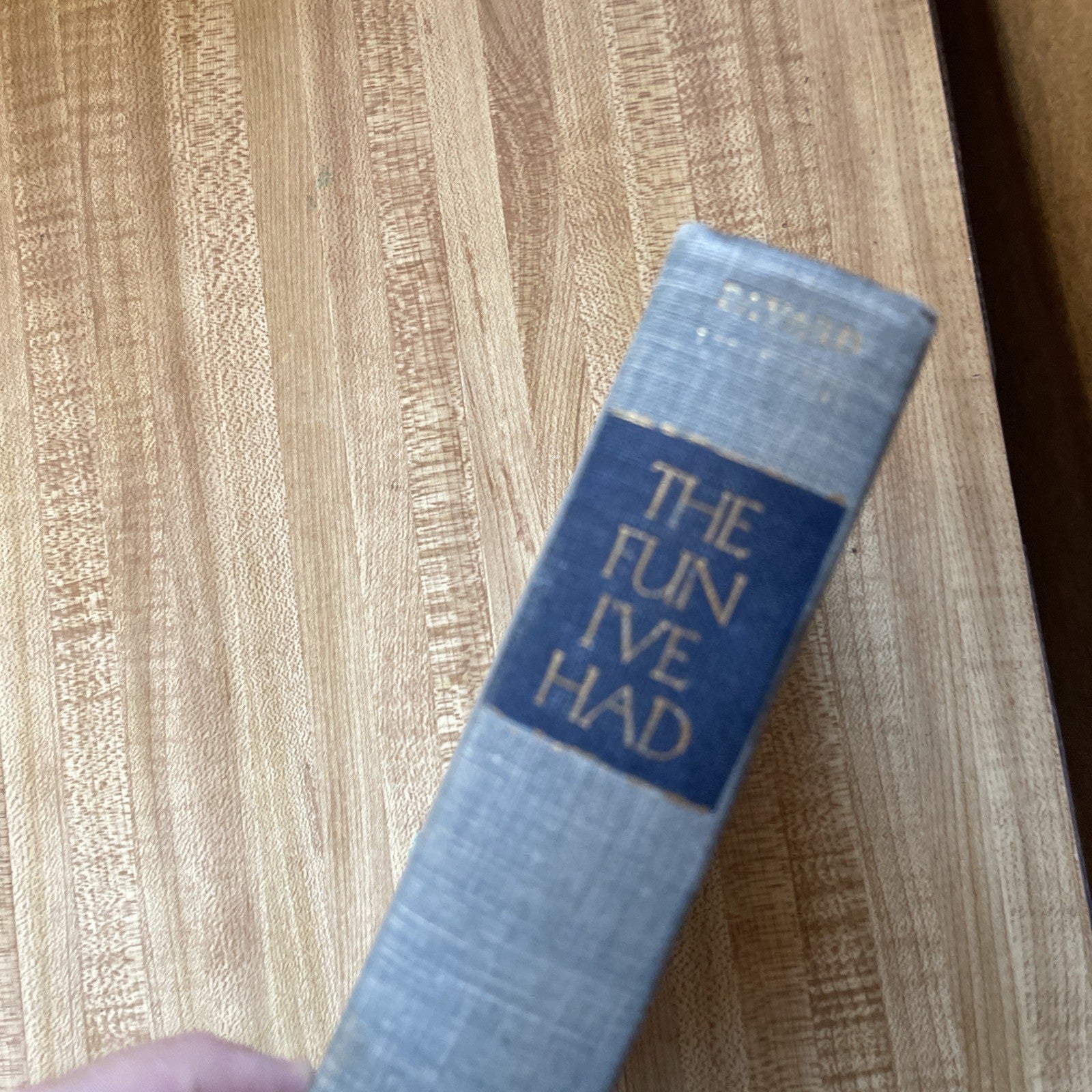 The Fun I’ve Had Hardcover 