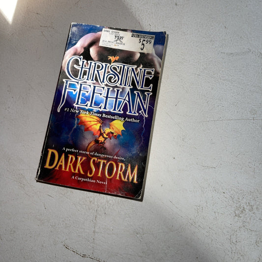 Dark Storm by Christine Feehan (2013, Mass Market)