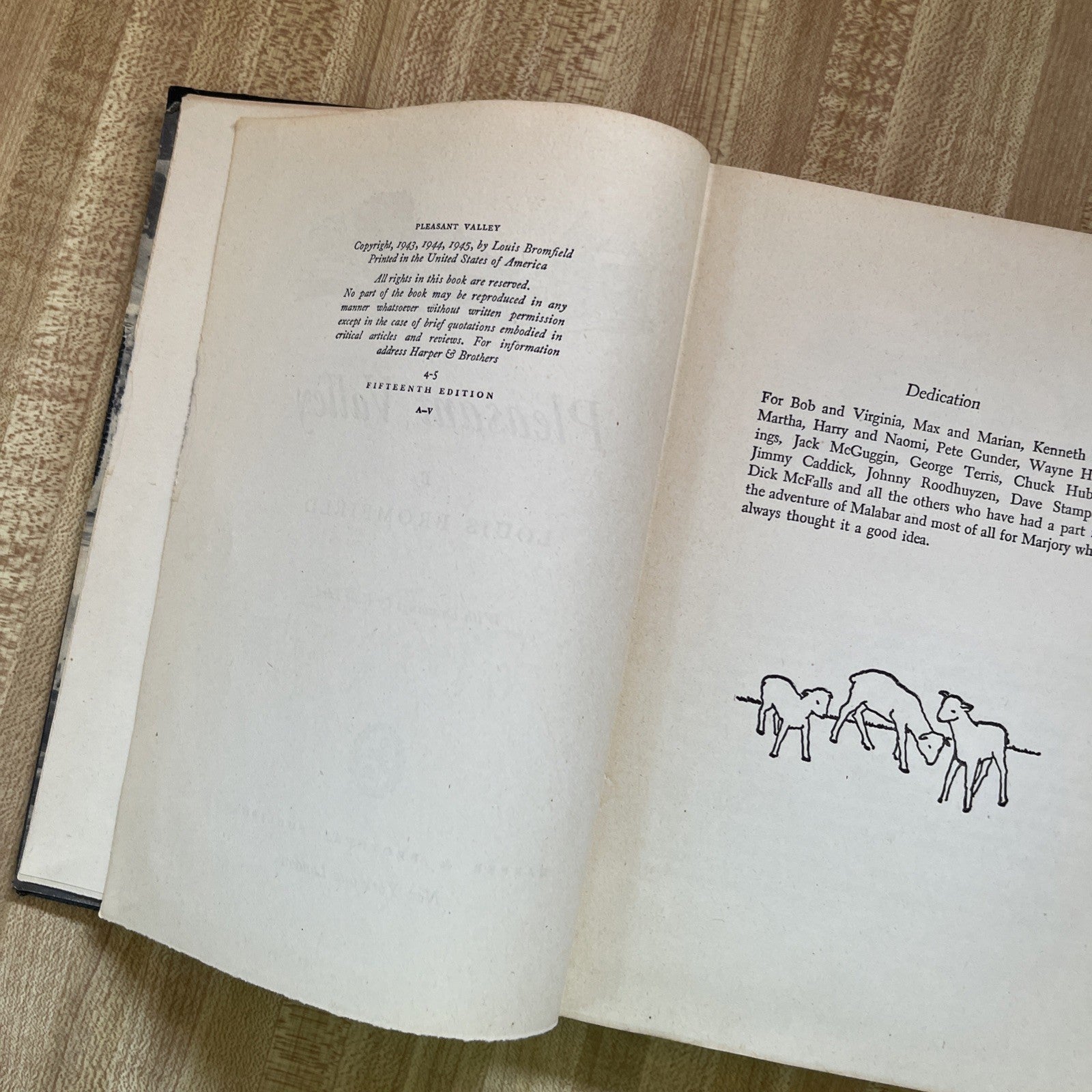 Pleasant Valley Hardcover 