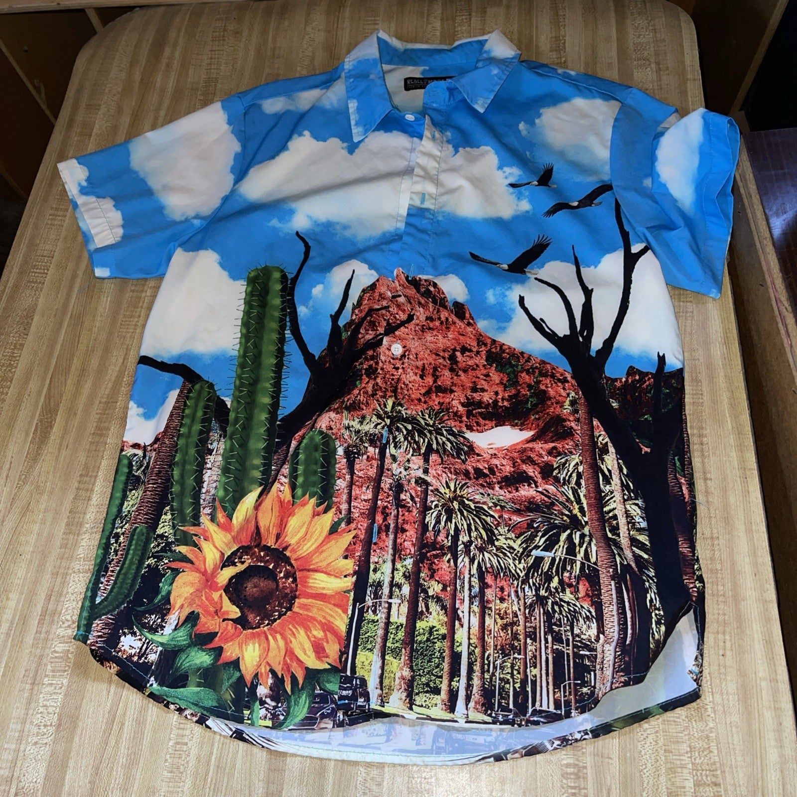Rebel Minds Button Up Medium 