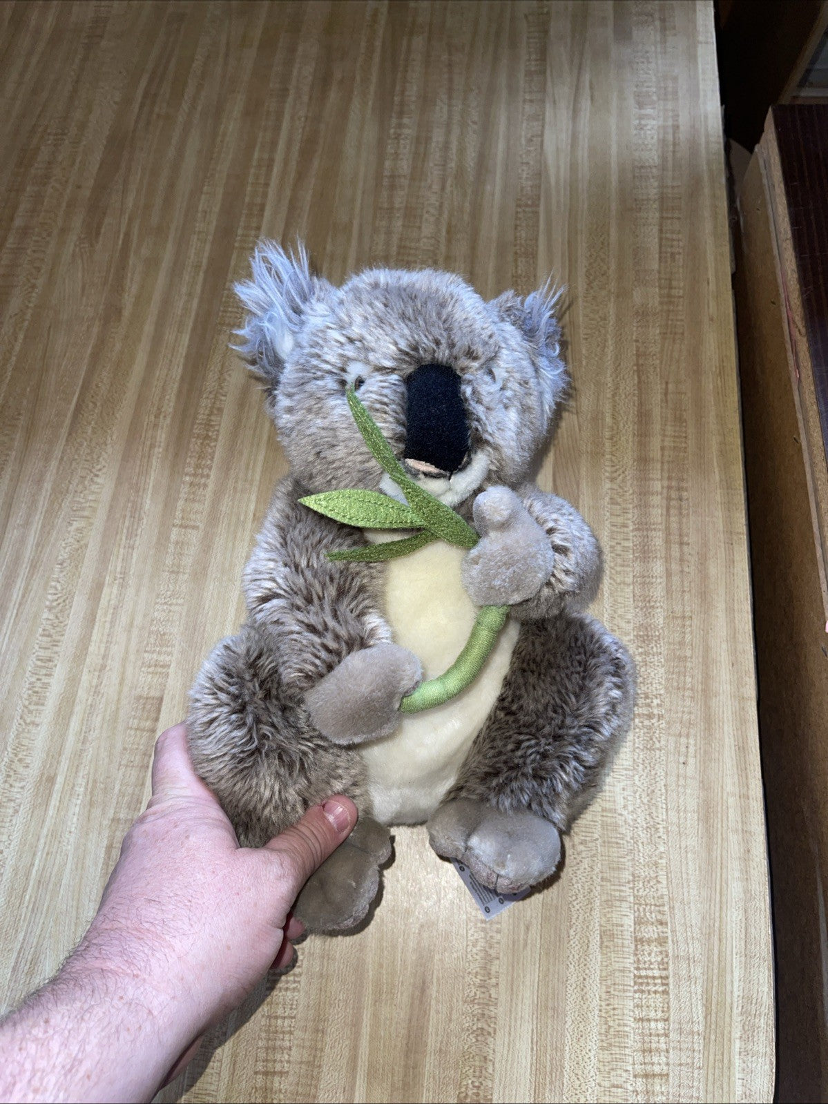 fao schwarz plush Koala Bear 