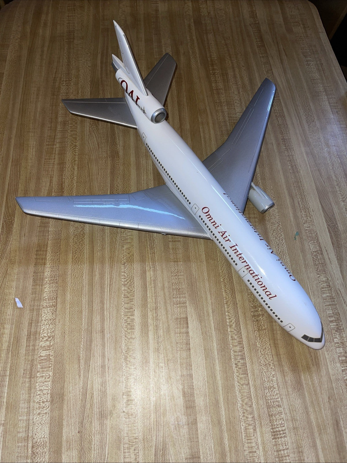 Omni Air International Plane 22x20