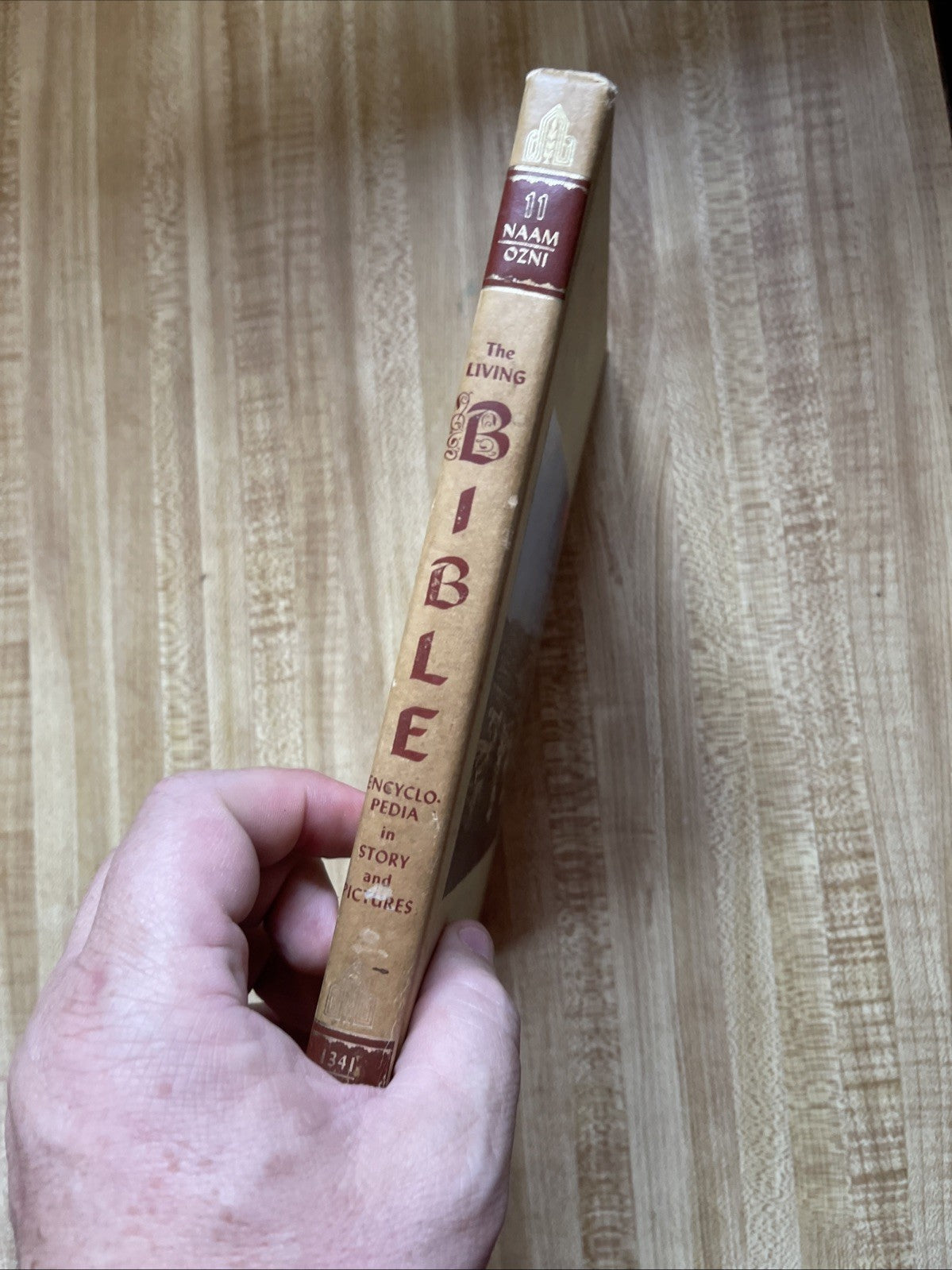 The Living Bible Encyclopedia In Story And Pictures Vol 11