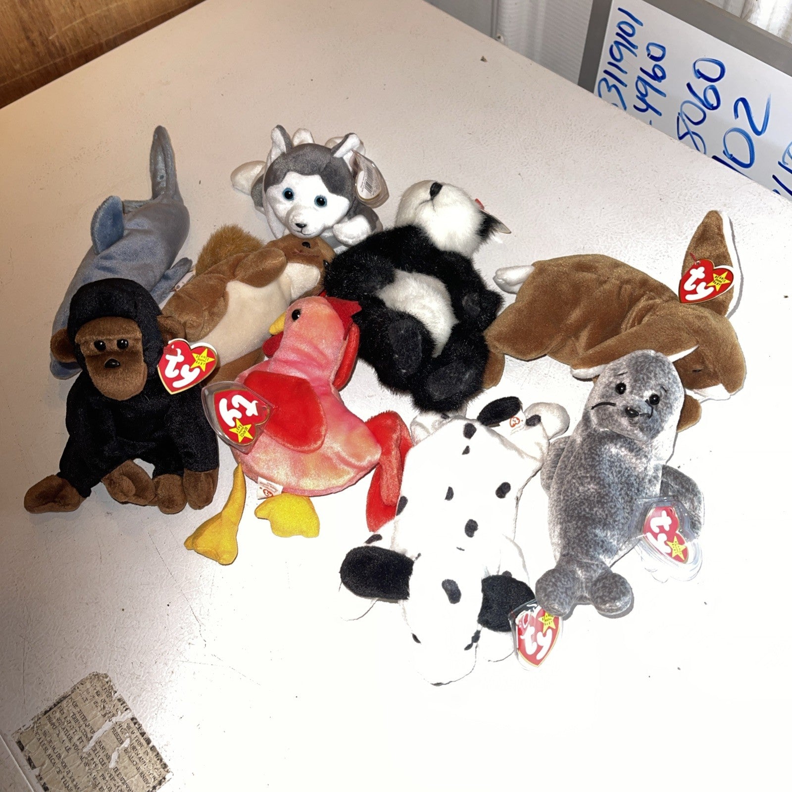 Huge Ty Beanie Babies Collection 