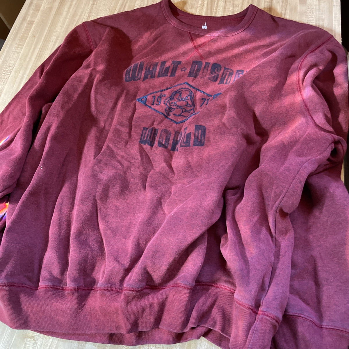 Walt Disney World Sweatshirt XXL 