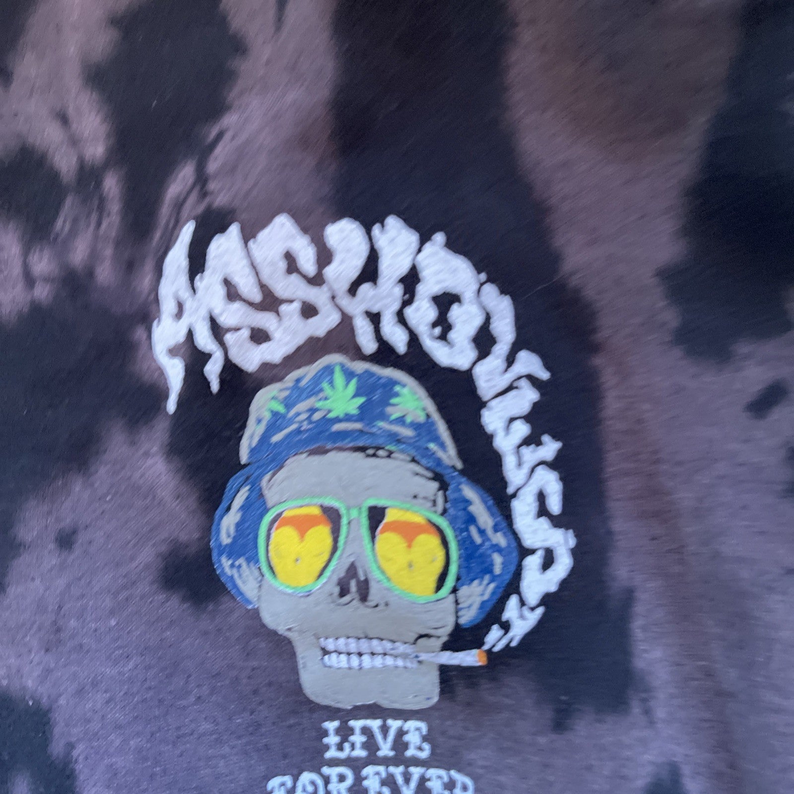aholes live forever hoodie Large 