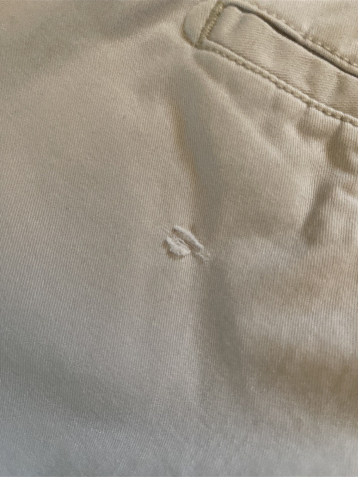 izod saltwater shorts 36