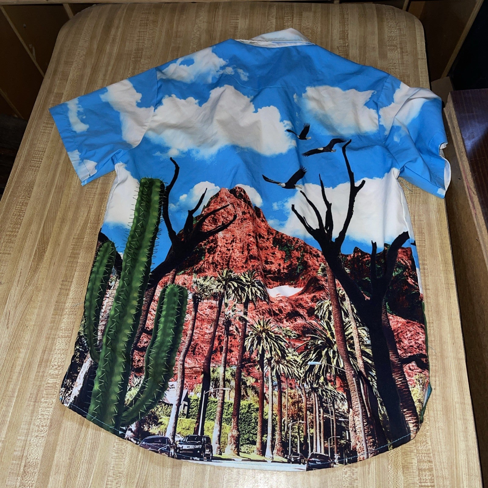 Rebel Minds Button Up Medium 