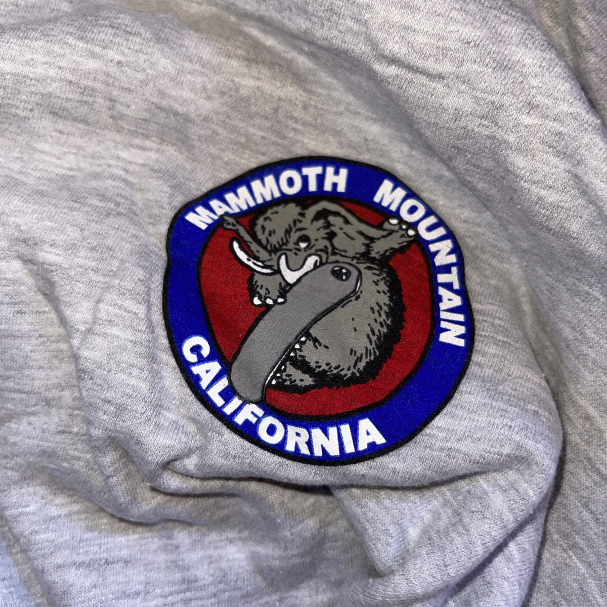 Mammoth Hoodie Large NWT 