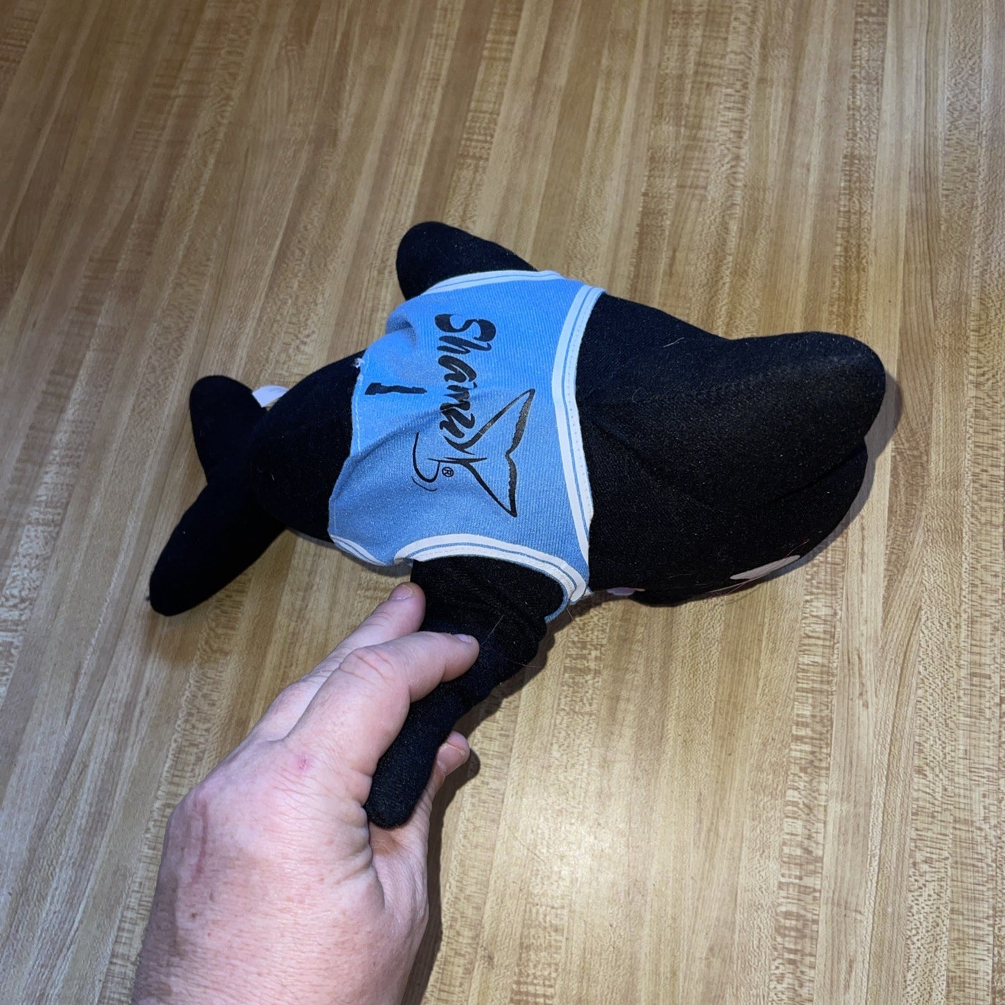 Seaworld Plush Shamu