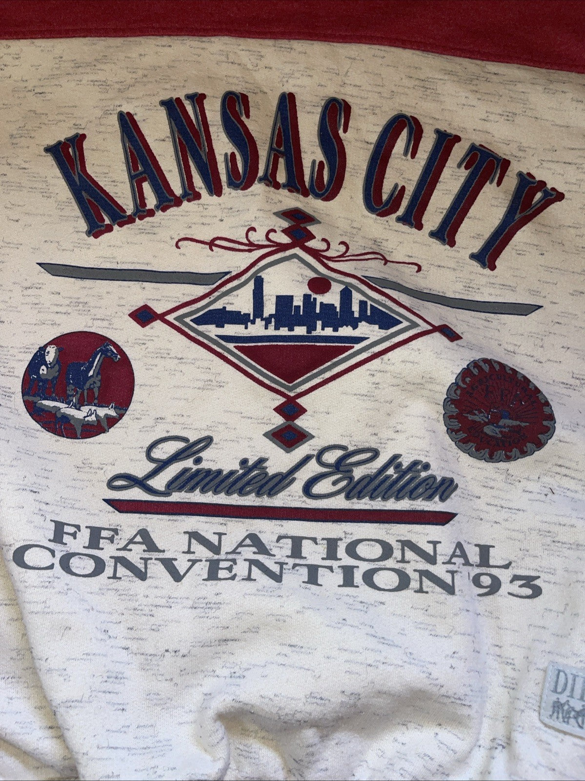 Vintage 1993 FFA National Convention Sweatshirt Medium 