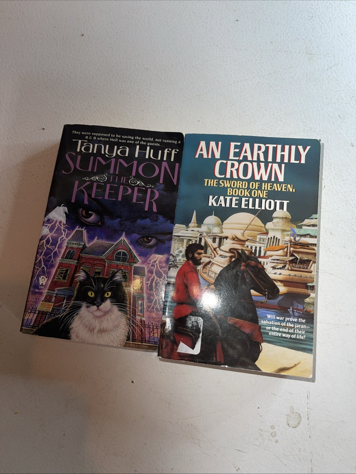 DAW Fantasy Book Lot