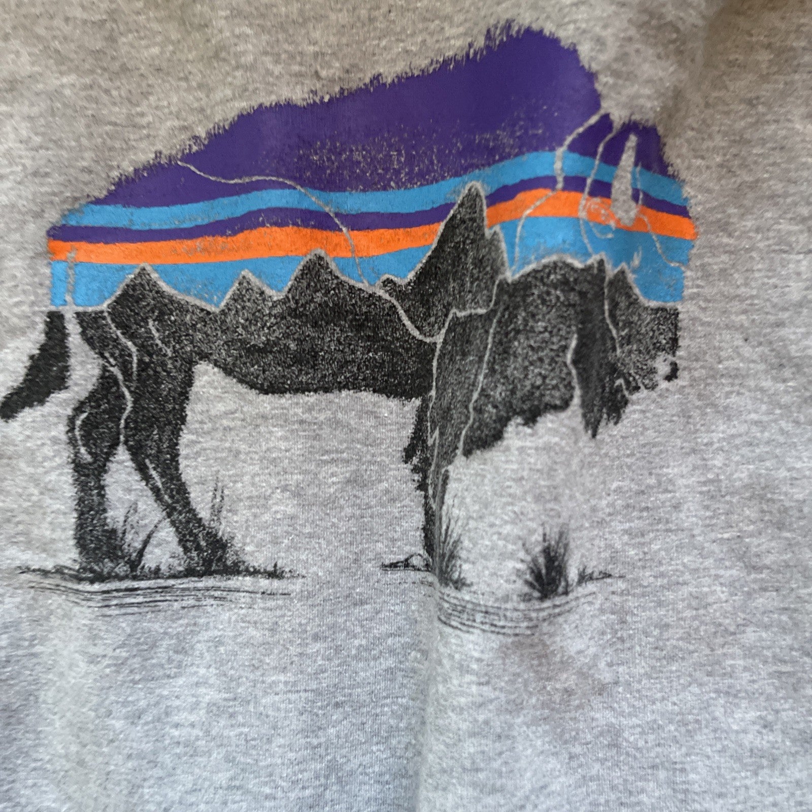 Patagonia Hoodie Medium 