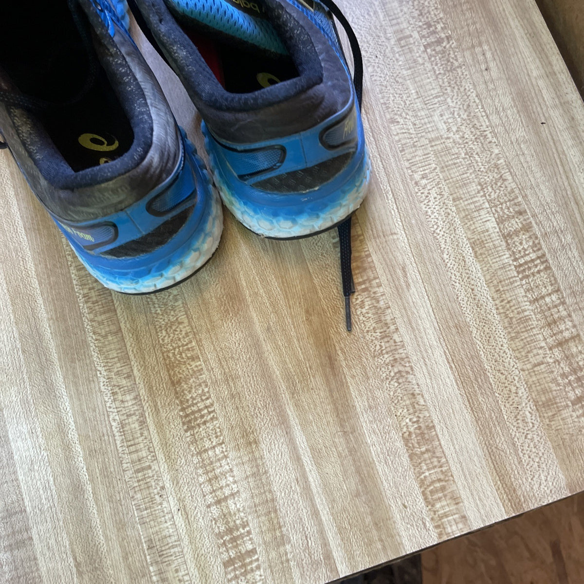 new balance fresh foam 1080 Size 10