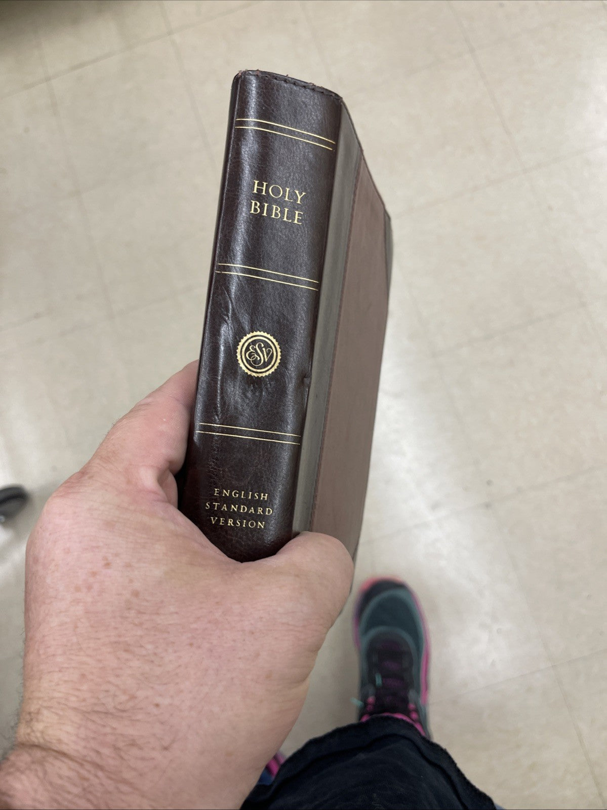Holy Bible 