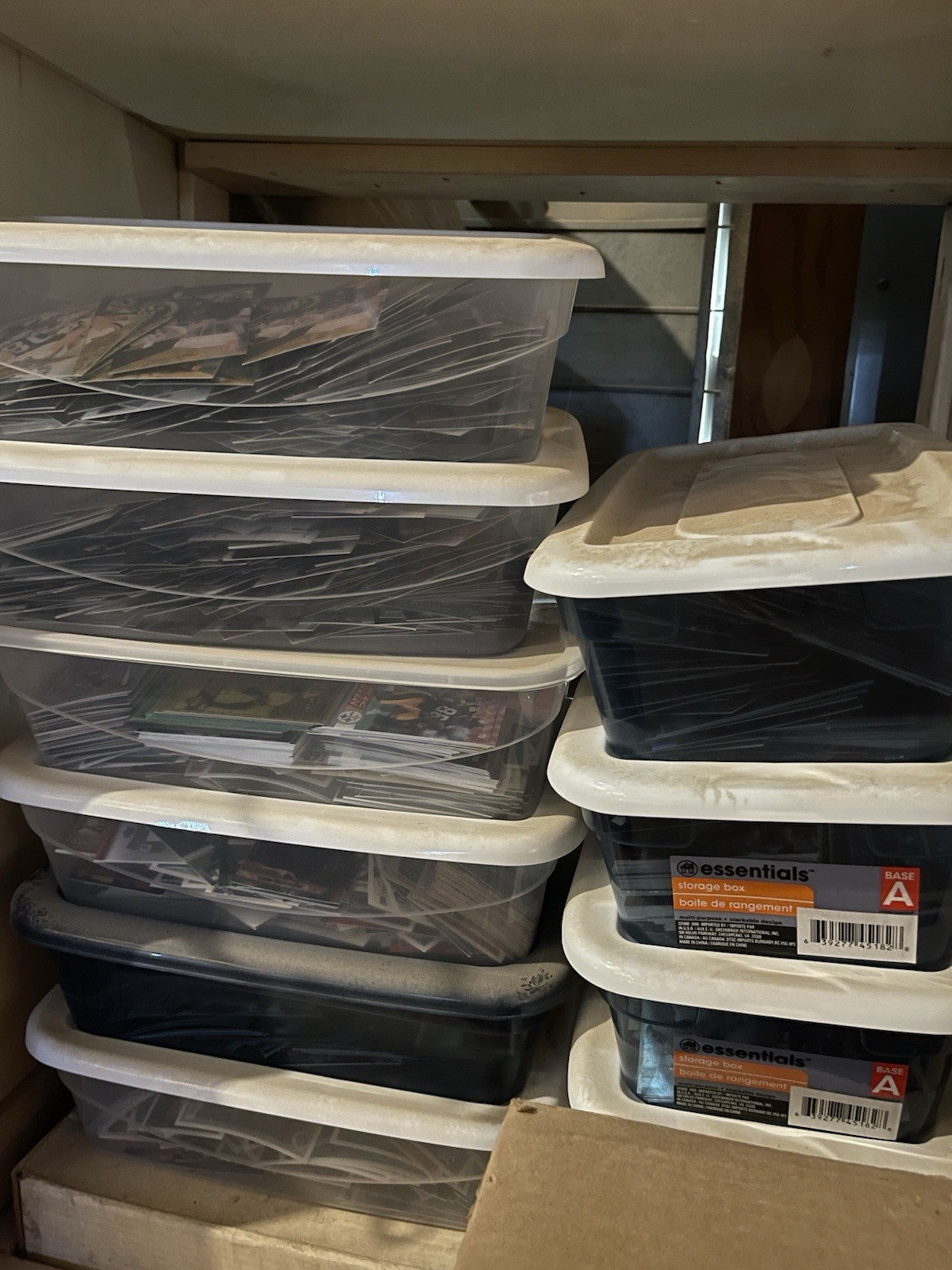 Huge Sports Card And Trading Card Collection