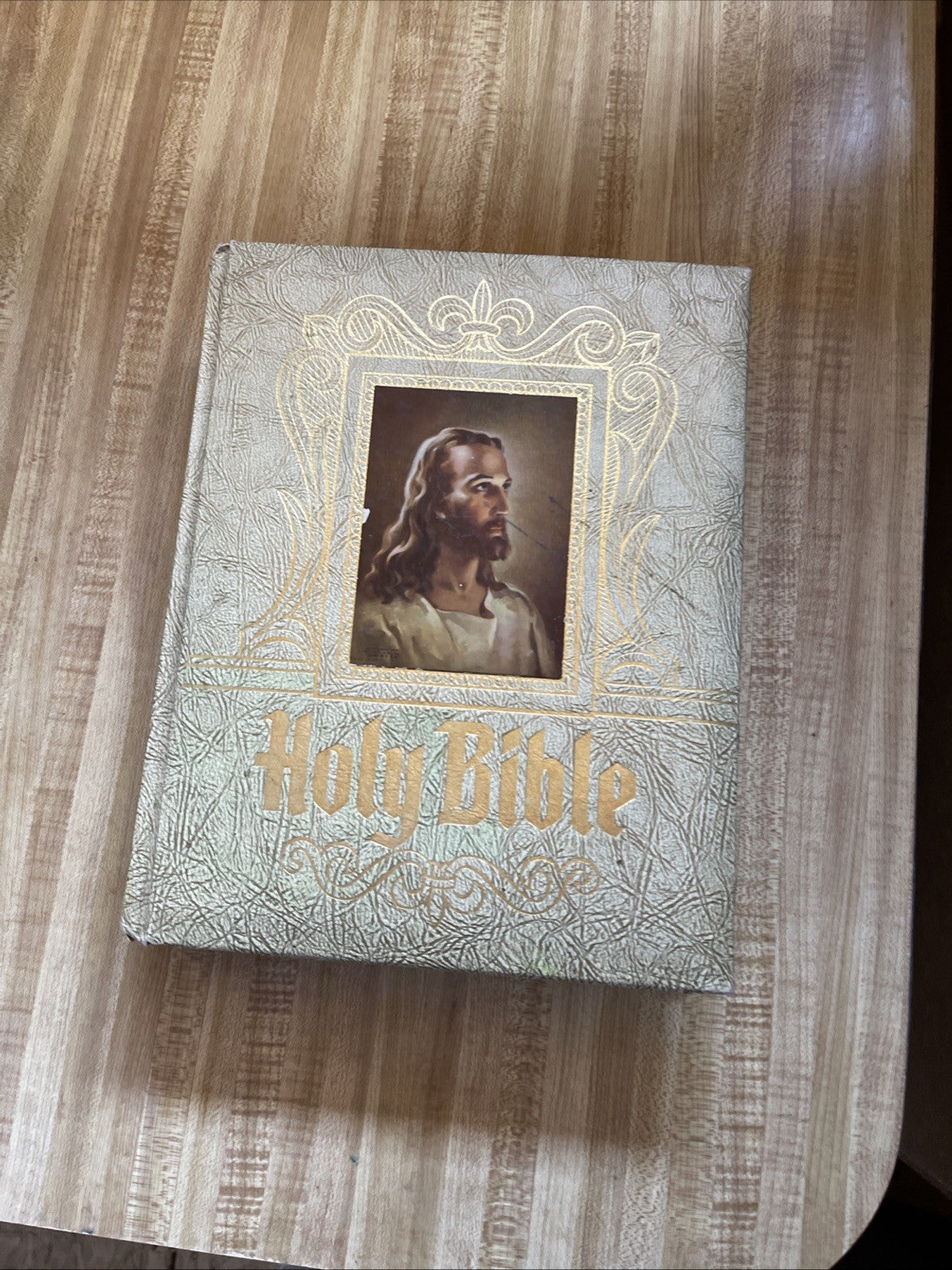 Holy Bible Standard Reference Edition 