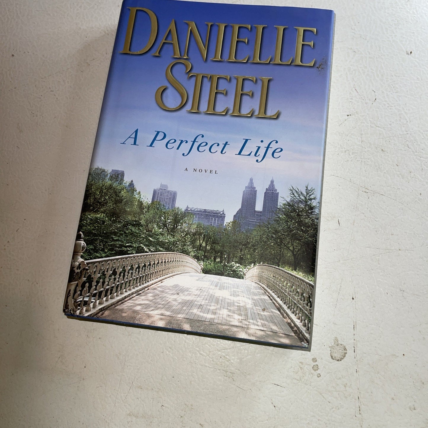 Perfect Life by Danielle Steel (2014, Hardcover)