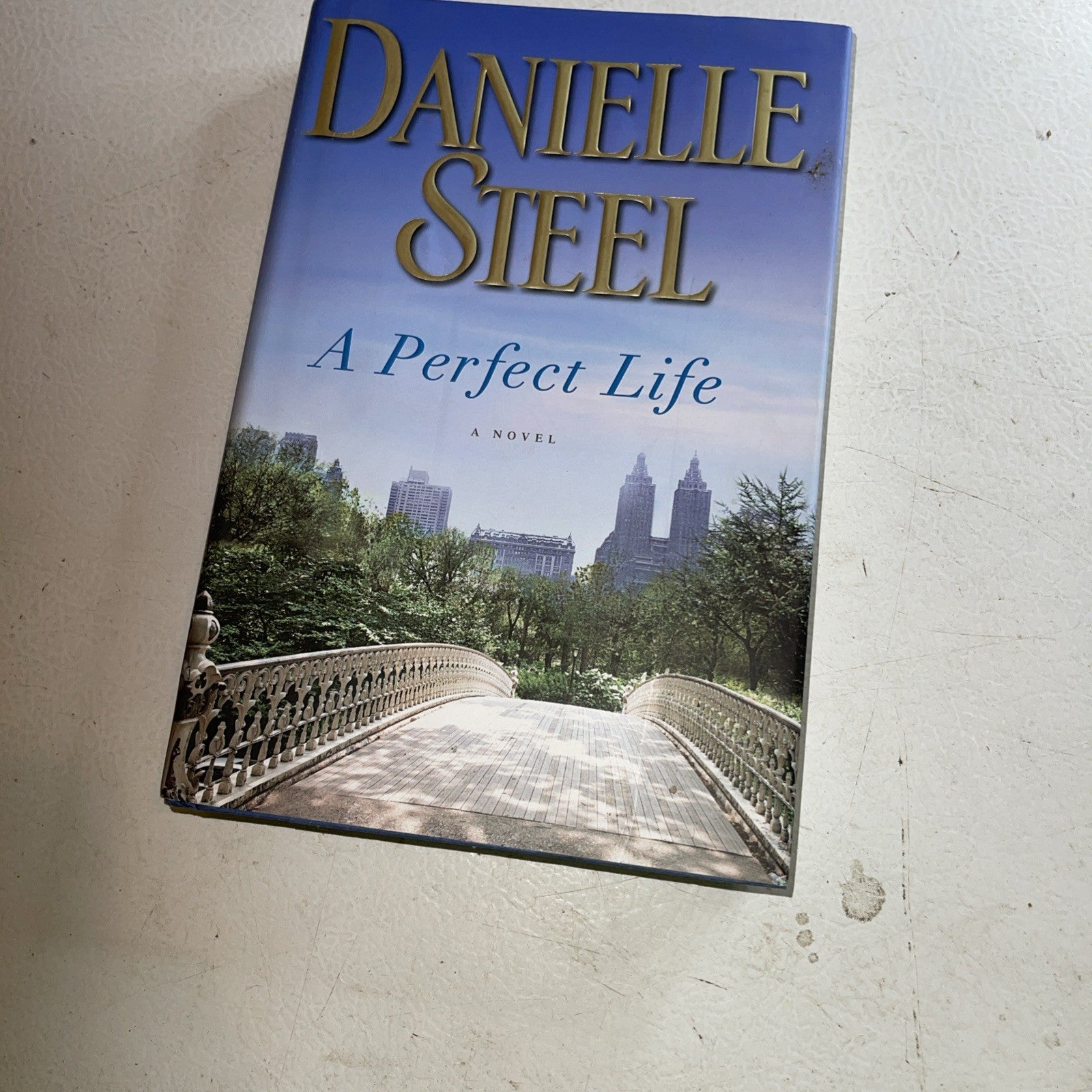 Perfect Life by Danielle Steel (2014, Hardcover)