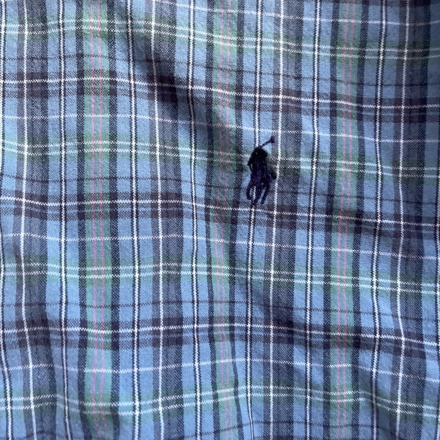 Ralph Lauren Button Down Medium Greggor