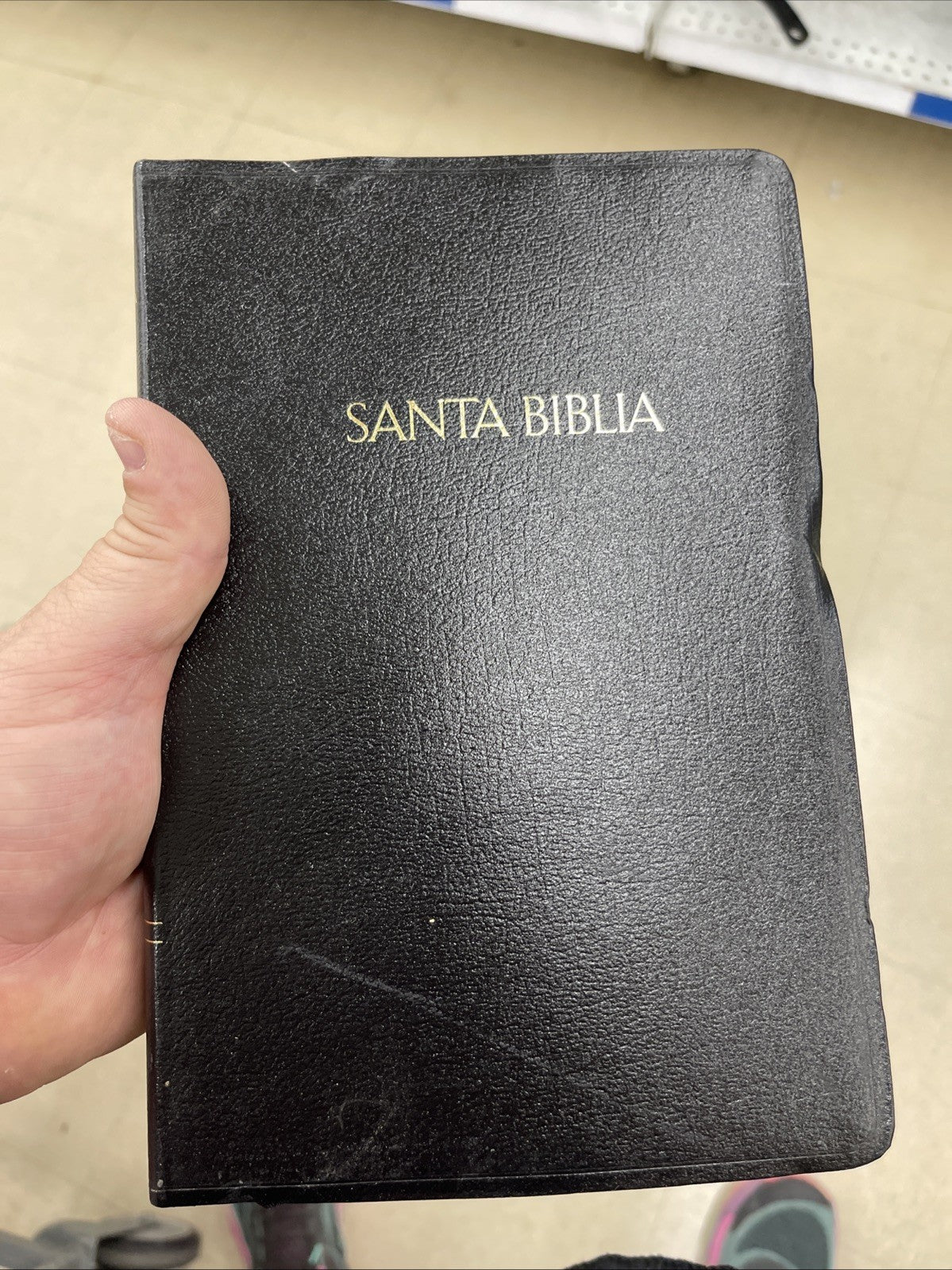 Santa Biblia