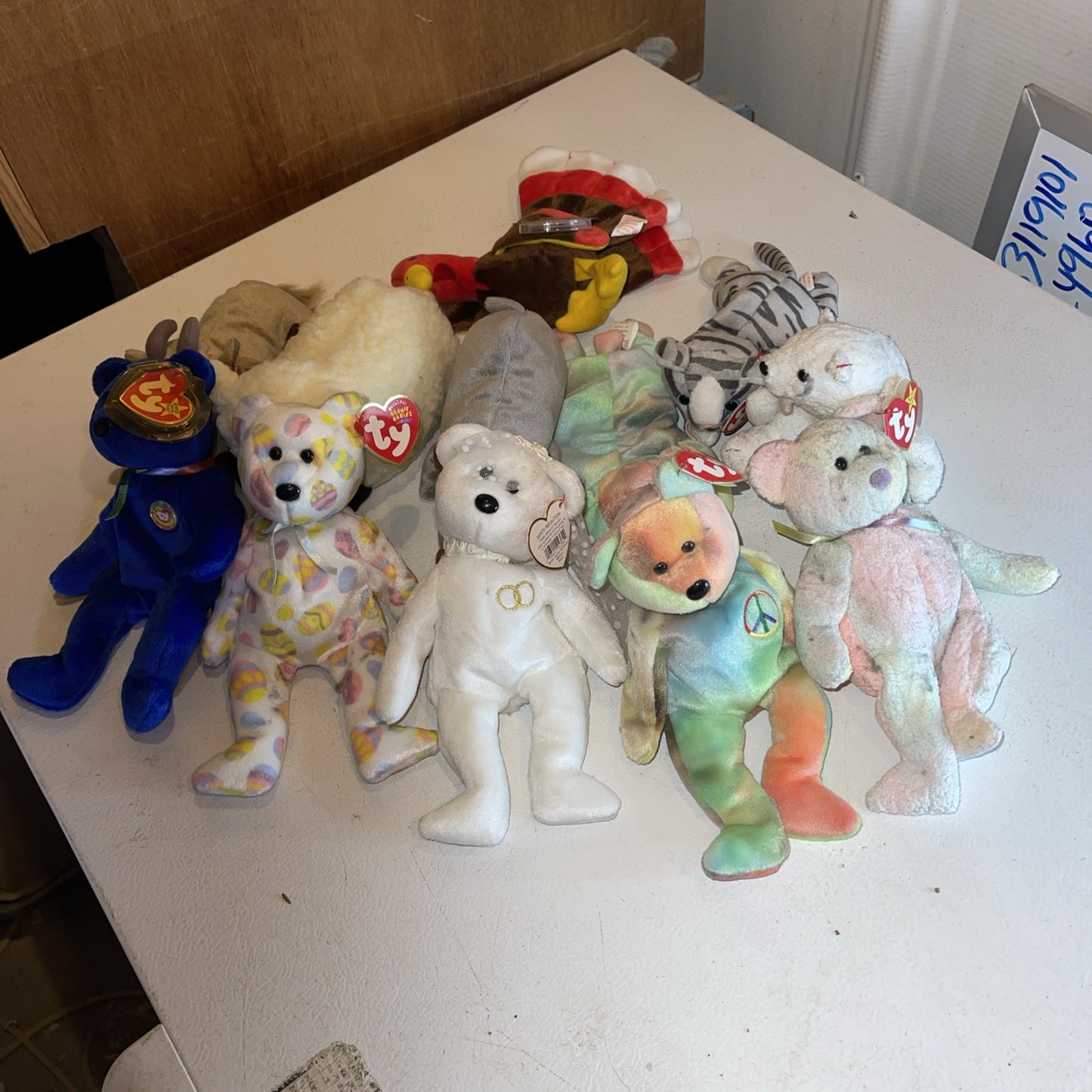 Huge Ty Beanie Babies Collection 
