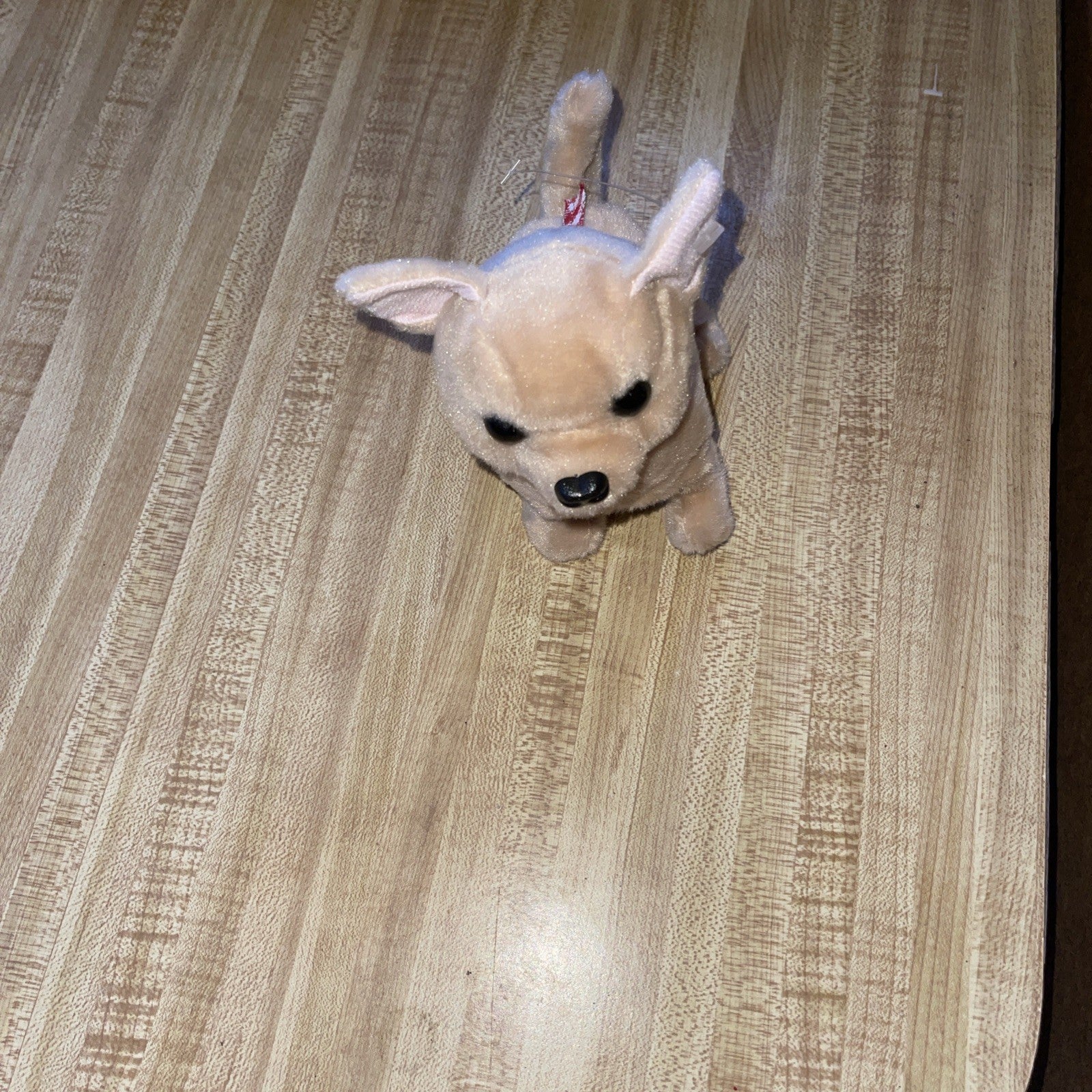 Animatronic Chihuahua 