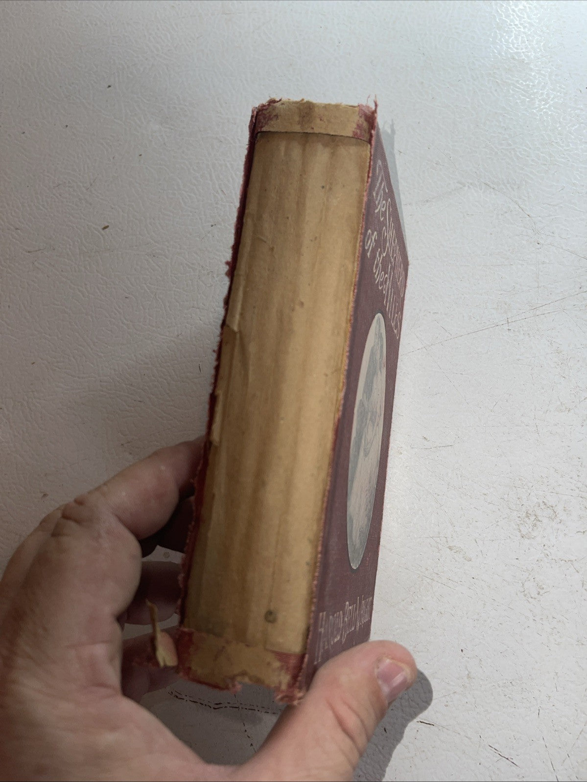 The Shepherd Of The Hills Hardcover 