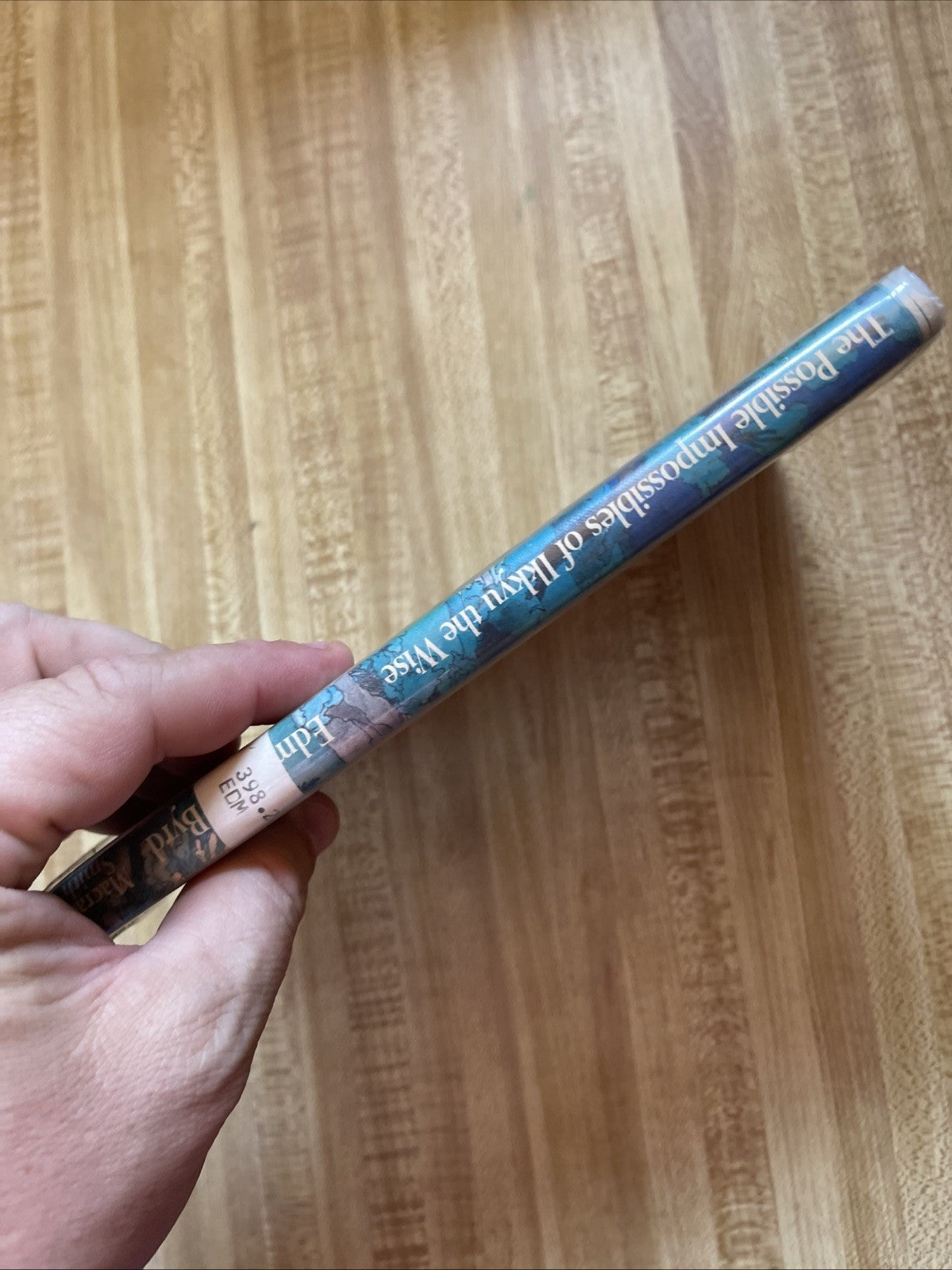 The Possible Impossibles Of Ikkyu The Wise Hardcover 