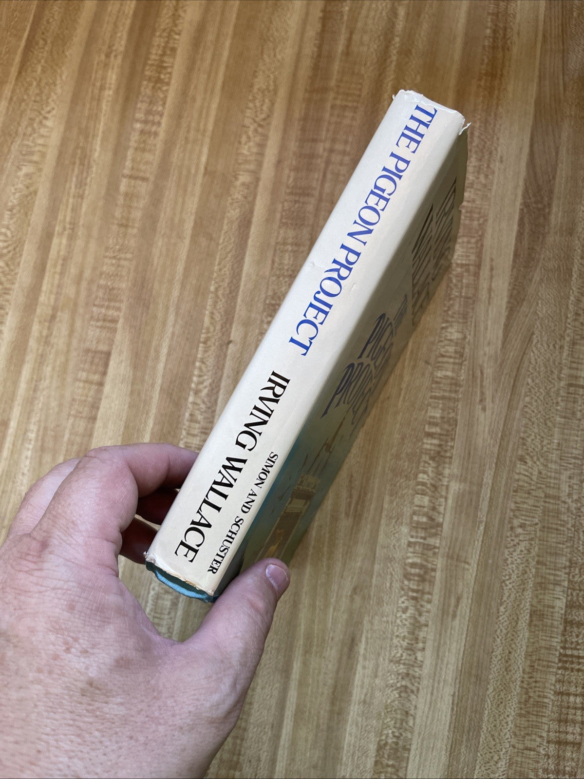 The Pigeon Project by Irving Wallace (1979, Hardcover)
