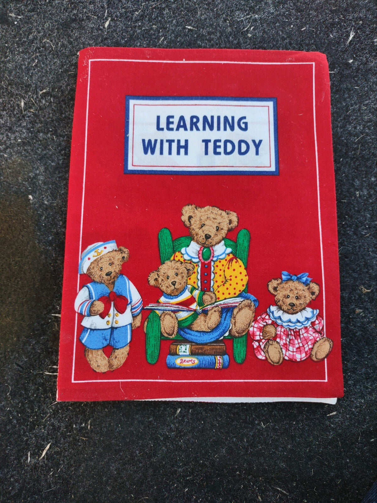 Learning With Teddy