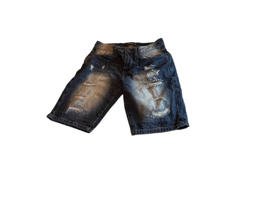 Southpole Jorts 30